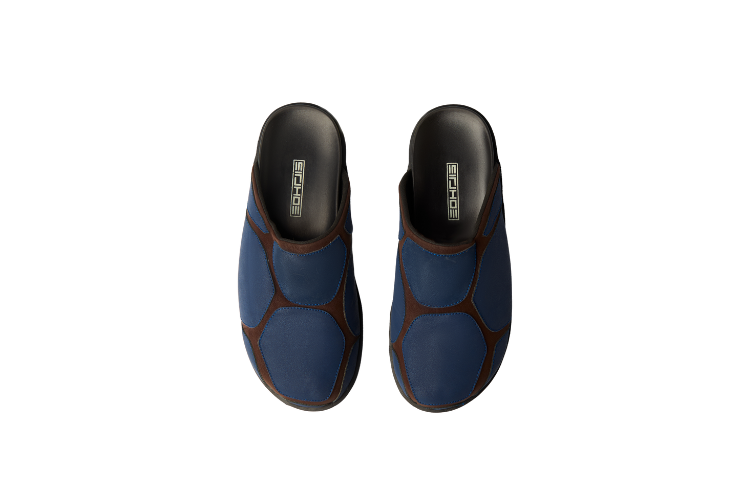 TURTLEBACK PRIME - RAINCANDY