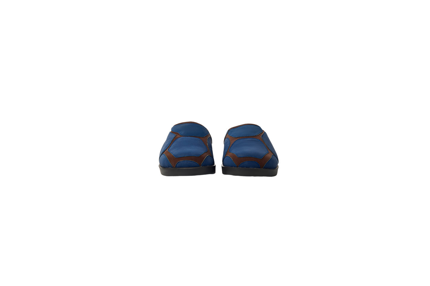 TURTLEBACK PRIME - RAINCANDY