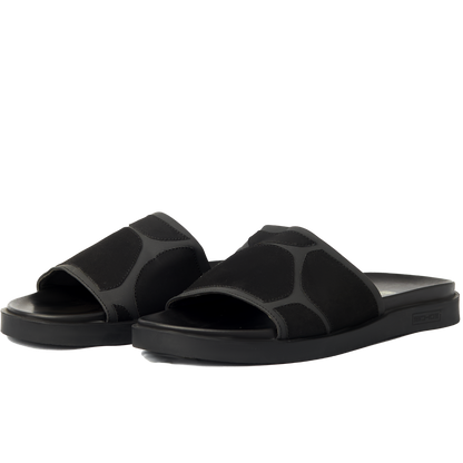 TURTLEBACK SLIDES - STEALTH